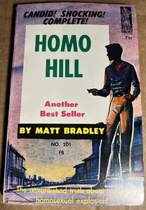 HOMO HILL 1963 MATT BRADLEY  VINTAGE PULP PSYCHOLOGY NOVEL GAY INTEREST - RARE! - Picture 1 of 2