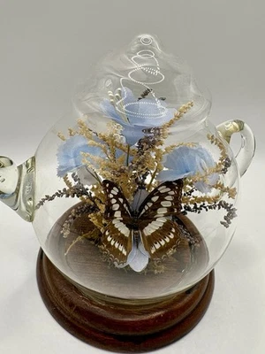 Tetera Mariposa Vidrio Vintage Años 70 🦋Especimen Conservado Flor Decoración Botánica Foto 1 de 4