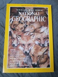 National Geographic September 1991 Germany, Spiders, Maya Art, Med Donors NO MAP - Picture 1 of 1