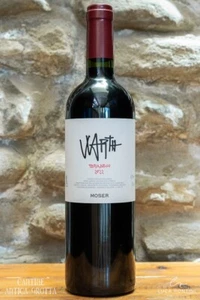 Teroldego Warth 2022 Vigneti delle Dolomiti IGT Francesco Moser 75 cl. 13,5% - Imagen 1 de 1