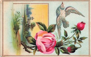 Rose, Dove and Portrait of Home on Water Embossed Card