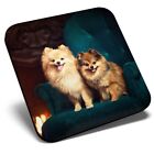 Square Single Coaster - Cute Pomeranian Dogs Animals  #3576
