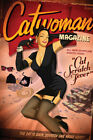 367147 Catwoman Magazine Cat Scratch Fever Batman Art Decor Print Poster