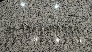 12 Tuna Clips - Picture 1 of 5