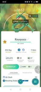 Rayquaza Pokemon Go  - Afbeelding 1 van 1