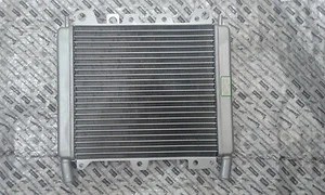 Aprilia SR 300 MAX ZAPM3560 ZD4M3560 2012 - On Genuine Radiator 656528 - Picture 1 of 7