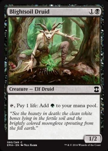 Blightsoil Druid - Eternal Masters #080/249 MTG Magic The Gathering - Image 1 of 1