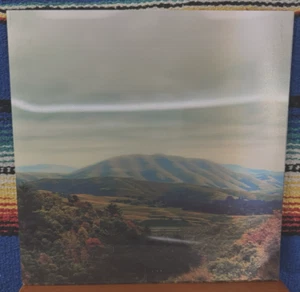 Bjork & Dirty Pojectors - Mount Wittenberg Orca, OG 2011 1st press, Lenticular, - Picture 1 of 8