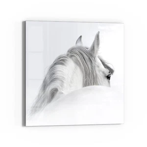 Pizarra magnética de vidrio DEQORI 'caballo andaluz' escribible pizarra blanca, de Ausf. - Imagen 1 de 80