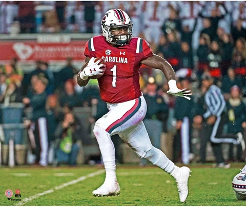 Deebo Samuel South Carolina Unsigned Jersey Running 20x24 Photo Cover