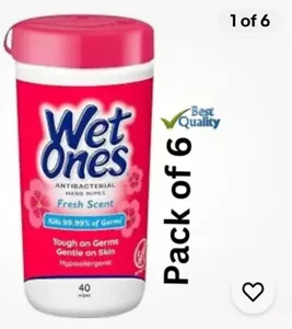 6 Pack Wet Ones Antibacterial Hand Wipes, Fresh Scent, 40 Ct Canister, - Picture 1 of 1