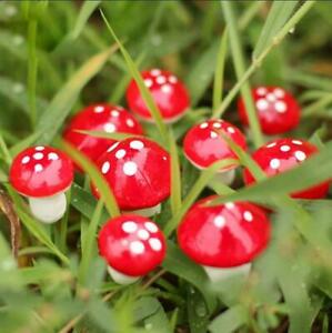 50Pcs Mini Red Mushroom Home Decoration Miniature Plant Pots Fairy Decor Garden