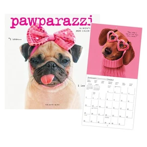 Colecciones Etc Adorable Calendario de Pared Pawparazzi 2025 - Imagen 1 de 2