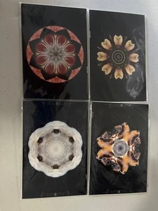 IMPRESIÓN FOTO DIGITAL NUMERADA MANDALA ESPECIES EN PELIGRO DE EXTINCIÓN BRETT MILEY - Imagen 1 de 9