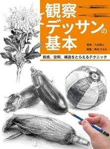 Drawing Basics: Techniques for Texture, Space & Structure Book New Japan - Picture 1 of 1