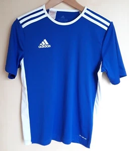 adidas Sport t-shirt aeroready Jungen Größe 164 in blau top Zustand - Bild 1 von 4