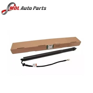 Land Rover Genuine Right Tailgate Strut Support for Discovery Sport - LR136575 - Picture 1 of 1