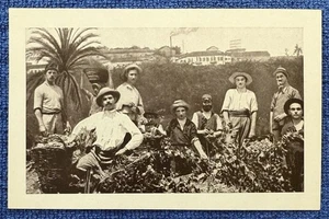 Bodegas Rishon LeZion Zichron Jacob Postal Carmelo Mizrachi Palestina - Imagen 1 de 4