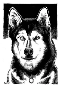 Retrato personalizado de perro pluma y tinta perro comisión de arte retrato - Imagen 1 de 4