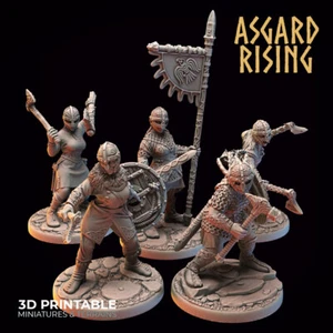 Miniaturas Shield Maidens, Wargames Fantasy RPG DnD Vikingo Hacha Nórdica Guerrero - Imagen 1 de 7