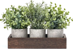3 Pack Mini Potted Artificial Eucalyptus Fake Plants with Wood Tray Centerpiece - Picture 1 of 6