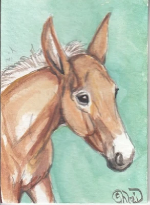 Tarjeta de arte de acuarela original ACEO CABALLO rubia silla de montar potro mula **BF compra 3*** Foto 1 de 3