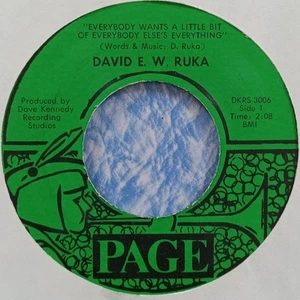 WILD MILWAUKEE WI Dr Demento folk rock DAVID E.W. RUKA Everybody Wants WISCONSIN - Picture 1 of 3