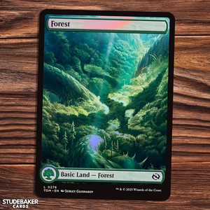 Forest - Tarkir Dragonstorm - FOIL - Magic the Gathering - Picture 1 of 1