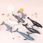Simulation marine Sea Life Figurines Figures d'action Ocean Animal Model Toys 