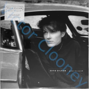 DAVID SYLVIAN Gone To Earth [JAPAN] 2019 180g Vinyl 2-LP w/ Enhanced Artwork NEW - Picture 1 of 7