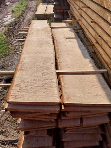 Eichenbrett, Eiche, Massivholz, 3 cm stark, beidseitig m. Baumkante, keinVersand - Bild 1 von 3