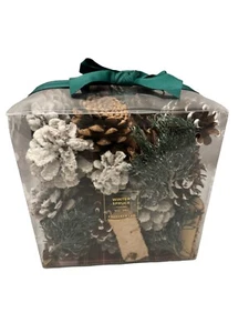 Pottery Barn Winter Spruce Potpourri Filler Birch Cyprus Juniper Large 18 Oz - Picture 1 of 4