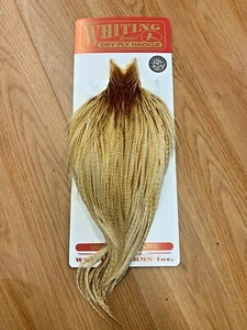 Whiting Farms Silver Grade Fliegenbinden Cape Barred Medium Ginger - Bild 1 von 3