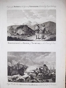 Capitano Cook/ Leoni Marini/ Asia// Thomas Banks Acquaforte Originale 1790  - Imagen 1 de 4