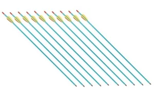 10 Pfeile  30 Zoll Alupfeile  Bogenpfeile Pfeile aus Aluminium mit Schraubspitze - Bild 1 von 1