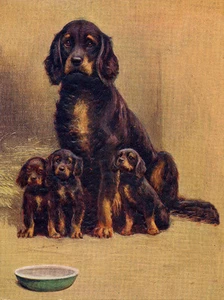 GORDON SETTER CHARMING DOG GREETINGS NOTE CARD BEAUTIFUL MUM AND PUPPIES - Picture 1 of 1