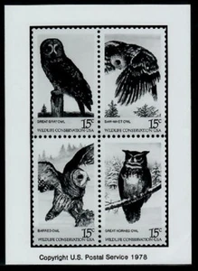 Photo Essay, USA Sc1763a Bird, Great Gray Owl, Saw-whet Owl, Barred Owl - Picture 1 of 1