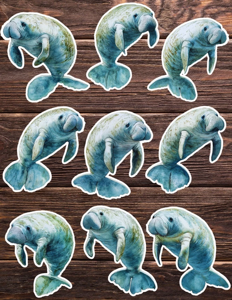 Manatees Die Cut Vinyl Stickers Set Scrapbooking Laptop Waterbottle