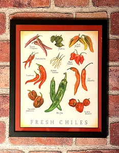 Cook's Illustrated "FRESH CHILES" • 11 1/2" x 9 1/2" Backcover Gerahmter Druck - Bild 1 von 1
