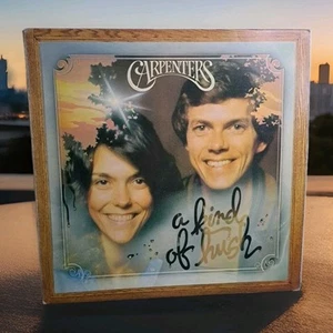 The Carpenters - A Kind of Hush 12" Vinyl Record LP Album 1976 A&M Records VG+ - Picture 1 of 5