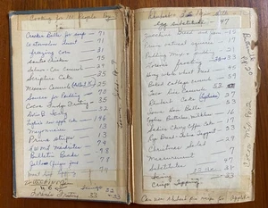 vintage 80/90s HANDWRITTEN cookbook in TEXTBOOK 50+ RECIPES + clippings - Picture 1 of 9