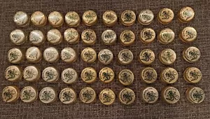 Mickey's Fine Malt Liquor Beer Bottle Caps Set of 50 - Puzzles On Back FUN - Picture 1 of 4