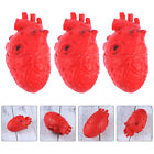 Halloween Fake Organs 3Pcs Scary Bloody Body Parts Zombie Heart Decoration