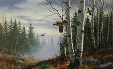 David Maass Ridgeline - Ruffed Grouse Remarque