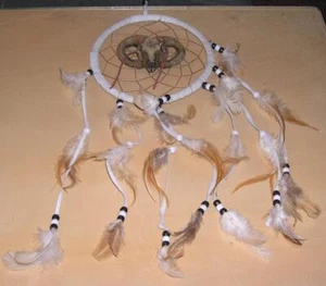 Longhorn Ram Dream Catcher, Wall Hanging, Native American Art, 15" Length - Picture 1 of 1