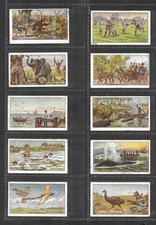 ANONYMOUS - Sports of the World - c1916 - 10/50 - Fair/Good