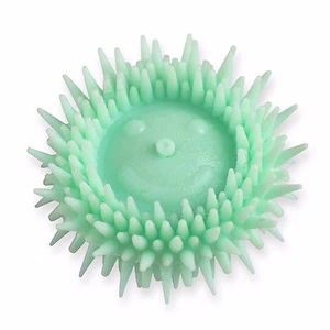 Chewable Toothbrushes 1 X 50 MInt Flavour- ROLLY - Picture 1 of 4