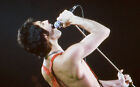 Foto Freddie Mercury Queen Vom Original Dia Ca. 20 X 30 Cm Für Sammler