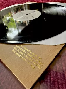MADONNA UNRELEASED PROMO MIXES NOTHING REALLY MATTERS GOLD STAMP BROWN SLEEVE LP - Picture 1 of 6