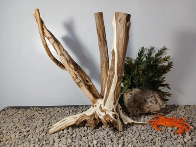 Driftwood aquarium fish & reptiles 14x15" natural stump decor - Image 1 of 4